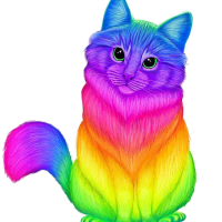 a rainbow kitty